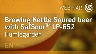 Brewing Kettle Soured beer with SafSour LP 652 x Humlegarden 1-Fermentis webinar