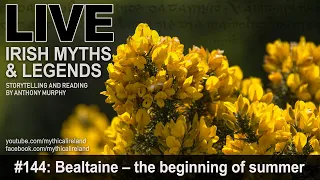 Live Irish Myths episode #144: Bealtaine - the beginning of summer