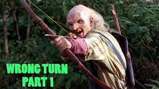 Wrong Turn 2003 : Summarized in Hindi || First Part Wrong Turn हिंदी