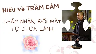 Hiểu về TRẦM CẢM, CHẤP NHẬN, đối mặt để CHỮA LÀNH ||@anvuihanhphuc