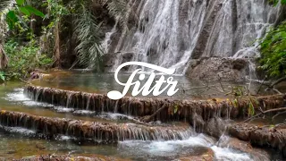 Sons da Natureza para Relaxar, Estudar e Meditar