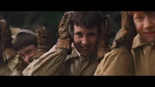 Harry Potter Mandrake Scream