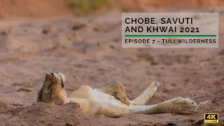 Chobe, Savuti and Khwai 2021: Episode 7 - Tuli Wilderness