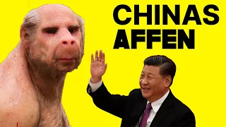 Chinesen klonen leuchtende Affen! Die Aufnahmen schockieren die Welt!