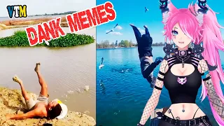 Spite Watch Dank Memes Compilation, Try Not To Laugh Challenge