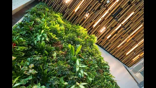 #6 - Nature based Solutions (NbS) and Integrating Nature into our Buildings