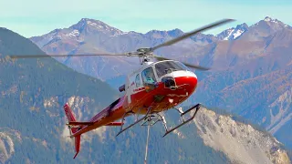 AS350 Écureuil Flying over Golden Autumn Trees in the Swiss Alps