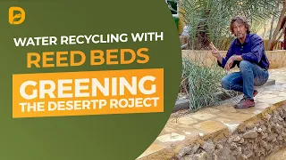 Water Recycling with Reed Beds