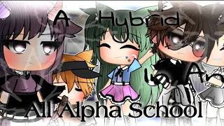 🏫A Hybrid In An All Alpha School🐺💫💓Gacha Life Mini Movie✨