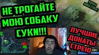 СТРЕЙ: НЕ ТРОГАЙТЕ МОЮ СОБАКУ! ЛУЧШИЕ ДОНАТЫ СТРЕЮ #1