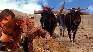 Ramadan in Afghan Villages: Discover Daily Life During Iftari Preparation