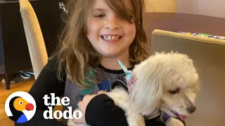 She's Allergic To Dogs — Watch Her Dad Find Her The Perfect Rescue Pup! | The Dodo Adoption Day