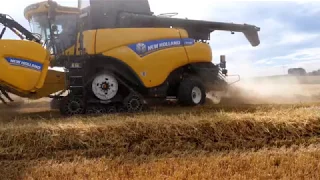 GERSTE DRESCHEN / Ernte 2019 / NEW HOLLAND