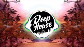 Deep House --- Cassius - The Sound Of Violence (DJ Kapral Remix)