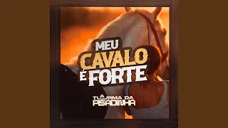 Meu Cavalo È Forte