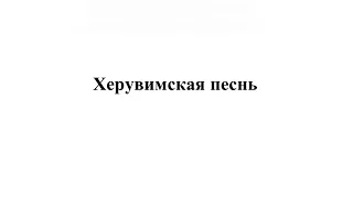 «Херувимская песнь» свящ. В. Зиновьев