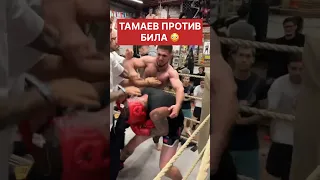 🔞ТАМАЕВ НАПАЛ НА ЭВАРДА БИЛА #тамаев #мма #popmma