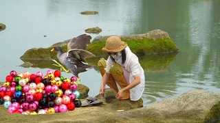 This huge clam is covered in colorful pearls, it's really unbelievable!