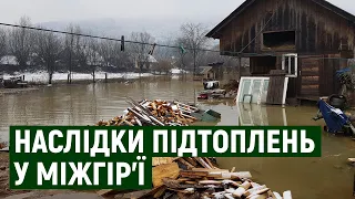 530 кубічних метрів води відкачали рятувальники з домогосподарств у смт Міжгір’я на Закарпатті