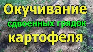 Окучивание сдвоенных грядок картофеля (укр.)