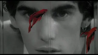 Rumble Fish 1983 (Bloodhound Gang - Fire Water Burn)