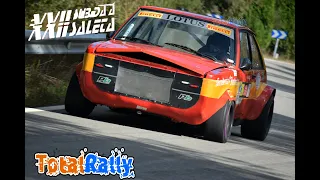 Subida a Saleta 2020 - TotalRally [HD]