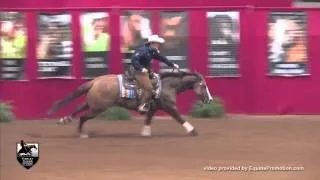 Cool N Dun Gunner ridden by Casey Deary - 2013 ATRC (Open Derby)