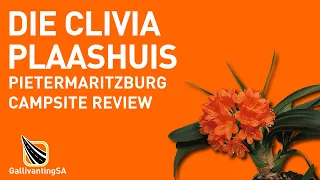 Die Clivia Plaashuis, Pietermaritzburg, KZN - Campsite Review - April 2023