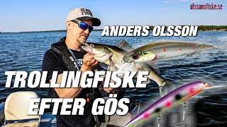 Göstrolling med Anders på Olssons Fiske