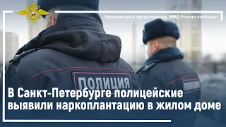 Ирина Волк: В Санкт-Петербурге полицейские выявили наркоплантацию в жилом доме