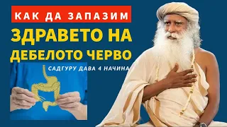 Как да запазим здравето на дебелото черво?! | 4 начина | Садгуру Даршан