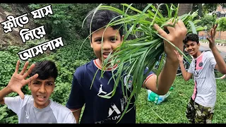 আমার গরু বাদশার জন্য ফ্রীতে ঘাস নিয়ে আসলাম | Qurbani Goru | Qurbani cow update | Cow Video