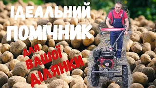 ⚡️Ідеальний помічник⚡️ для ВАШОЇ ДІЛЯНКИ! СПИНА не БОЛИТЬ! Огляд мотоблока WEIMA WM1100C-6 (EVRO5)