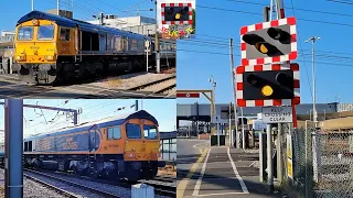 Class 66s "The Powerful Parkeston Panorama" Rail-tour at Parkeston West Level Crossing, Essex