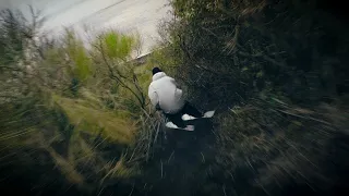 Few turns on a volcano with Aziz Benkrich