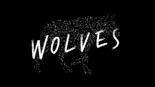 Wolves - Kanye Westㅣcover
