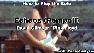 Pink Floyd - Echoes (Pompeii) - David Gilmour. Guitar Lesson / Tutorial / Tone.