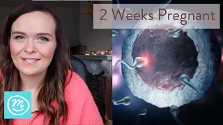 2 Weeks Pregnant: What You Need To Know - Channel Mum