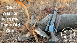 Dad's Old Gun takes down an Old Cull Buck