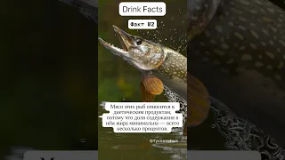 Fish Facts Pike #shorts #facts #fish #information #help #щука #health #unique #pike