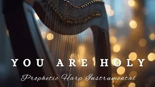 YOU ARE HOLY|PROPHETIC WARFARE HARP INSTRUMENTAL|BACKGROUND PRAYER MUSIC