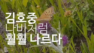 김호중   산노을