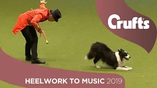 The Greatest Chowman! Epic Heelwork To Music Performance | Crufts 2019