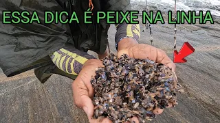 É UMA FISGADA ATRÁS DA OUTRA É MUITO PEIXE GUARAPARI ES PESCARIA.