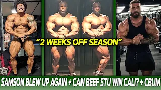 Samson Dauda LOOKS CRAZY BIG NOW! + Chris Bumstead 2024 Physique + Beef Stu Looks Shredded