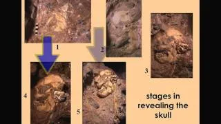 CARTA: Early Hominids: Ronald Clarke - "Little Foot", Big Find - A Skeleton of Australopithecus