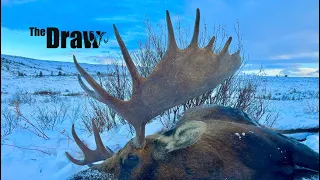 Alaska Muzzleloader Moose Hunt