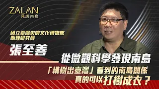 太平洋只見雄構樹，基因來自台灣古南島人從台灣向太平洋擴散 !【zalan見識南島S3】EP5-1｜從微觀科學發現南島｜主持人：謝哲青｜講者：張至善