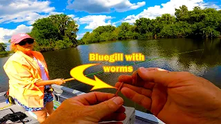 Bluegill Fishing Florida with Worms