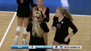 2022 NCAA D3 Volleyball Quarterfinals: NYU vs. Transylvania Highlights